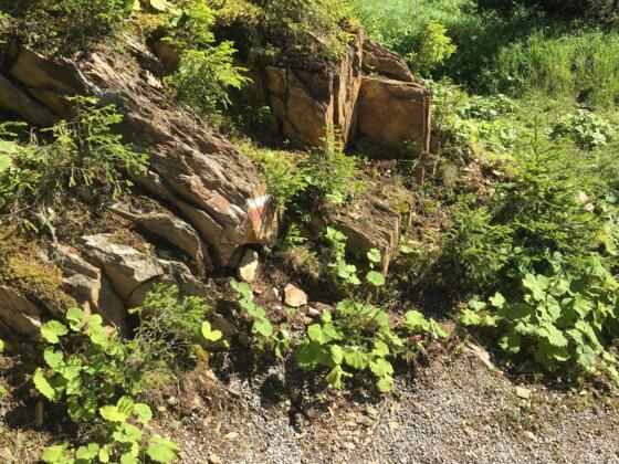 #8 Cache (Sattele Runde)