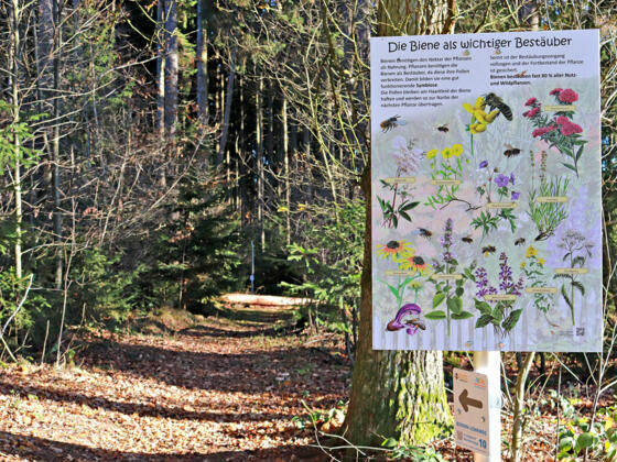 Bienenweg Velden mit Infotafel