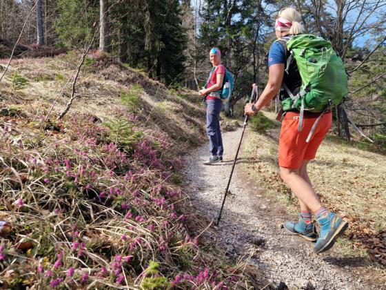 Auf dem Weg zur Hochalm