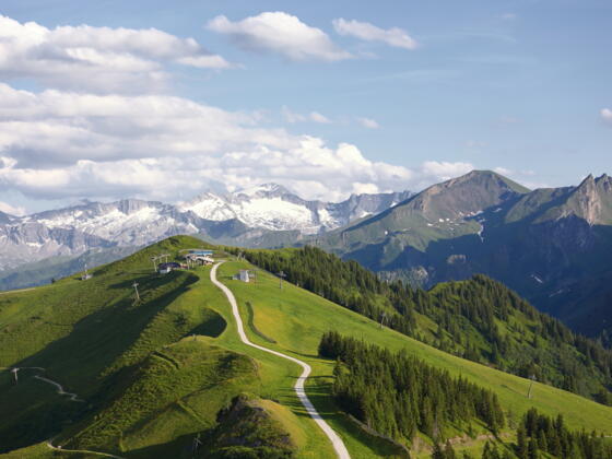 Blick auf den Kreuzkogel