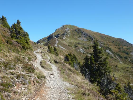 Zuletzt führt ein etwas steilerer Trail auf die Nordseite des Gipfelaufbaus.