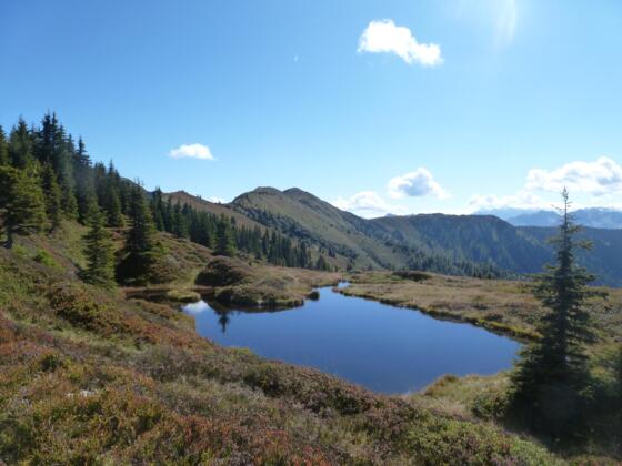 Kleiner See am Kammverlauf hinter dem Schönwieskopf.