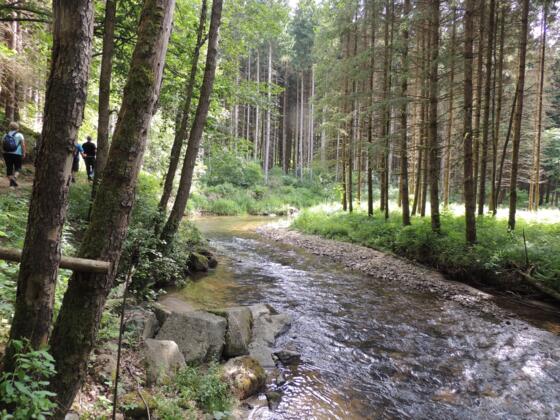 Wandern entlang der Großen Mühl