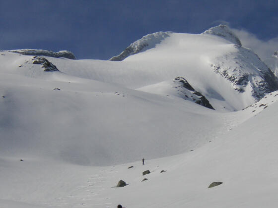 Wildgerloskees zum Gabler