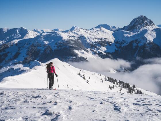 Hinauf vom Steinberg auf den Wiesboden mit Blick auf den Großen Rettenstein