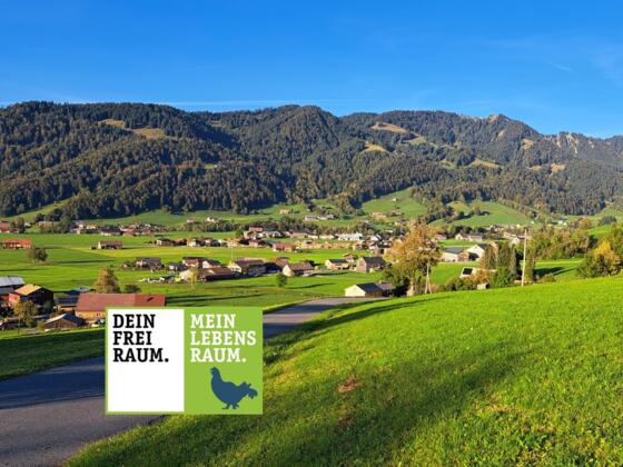Ausblick auf Hittisau und die Nagelfluhkette im Hintergrund.