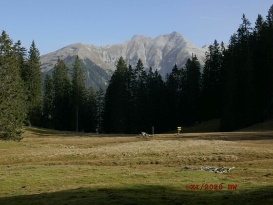 Wegkreuzung Rehberg 1610 m