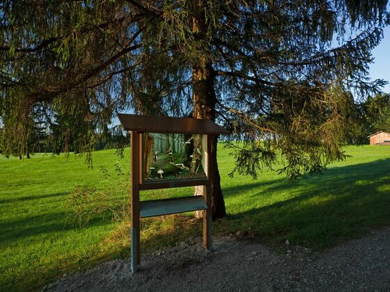 Schaukasten, Station 5
