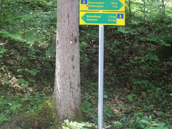Am Gießenbachsattel