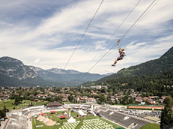 Flying Fox