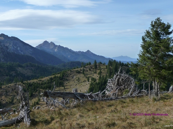 der unbewaldete Gipfel im Vordergrund ist das Bremeneck vom Rosengarten aus gesehen
