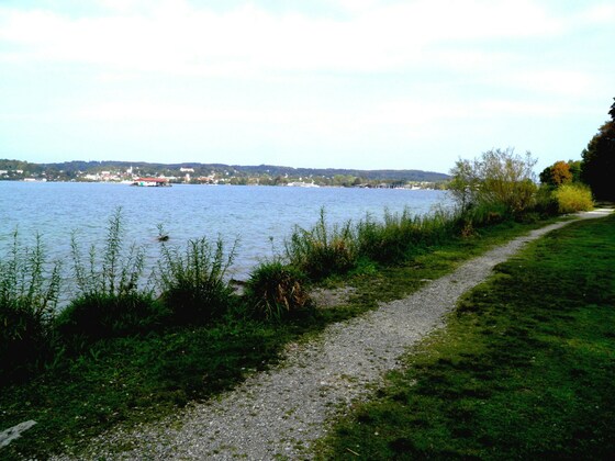 Blick auf Starnberg und See