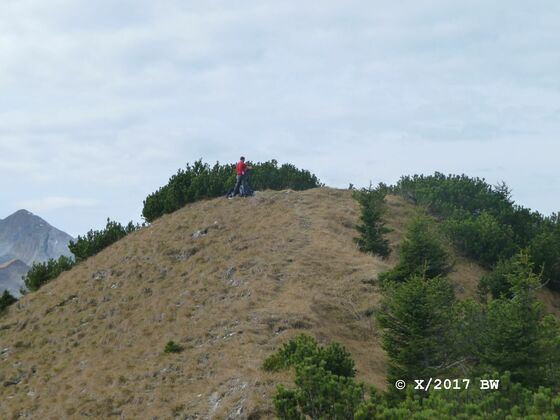 Gipfel des Galgenstangenkopf