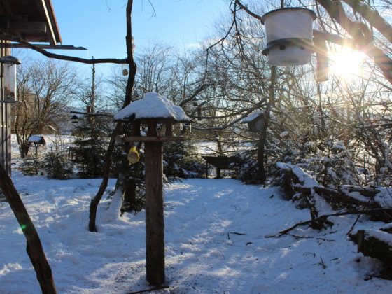 Vogelstation Moosmühle