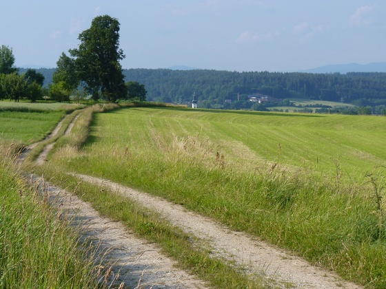 Ausblick bei Qualn