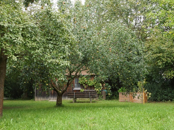 Obstlehrgarten Niederneuching