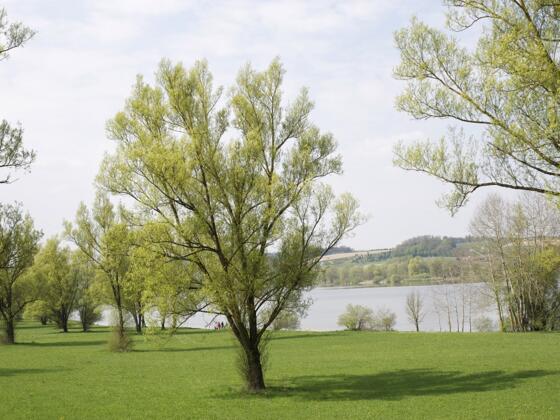 Naherholungsgebiet Rottauensee
