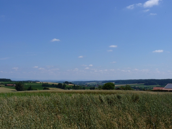 Ausblick bei Brand