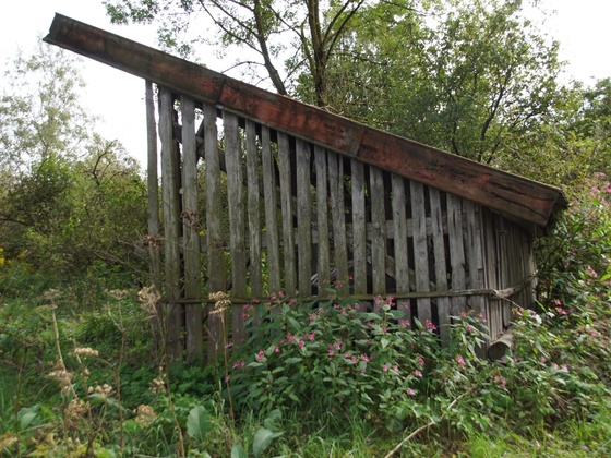 Torfhütte Oberdingermoos