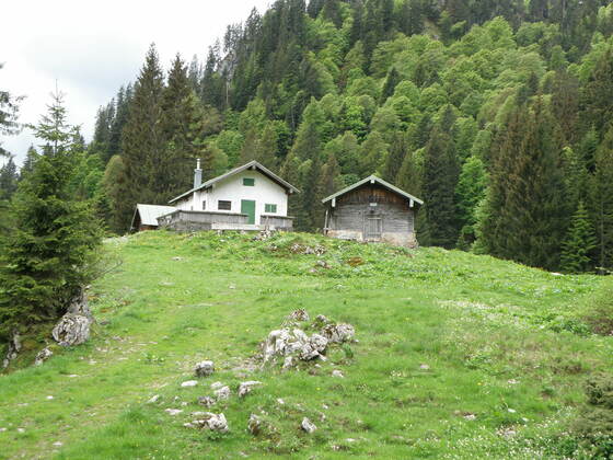 Vordere Krottenalm 1230m