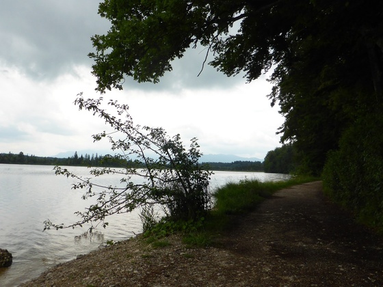 Kirchsee