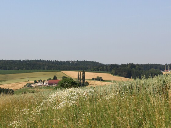 Ausblick bei Leiten