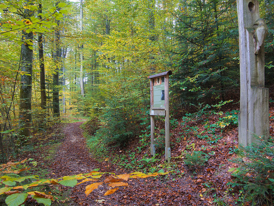 Waldlehrpfad und Skulpturenweg Teisendorf