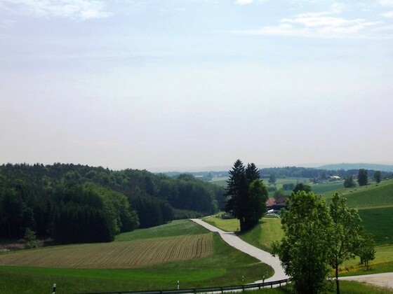 Ausblick bei Staudenpoint