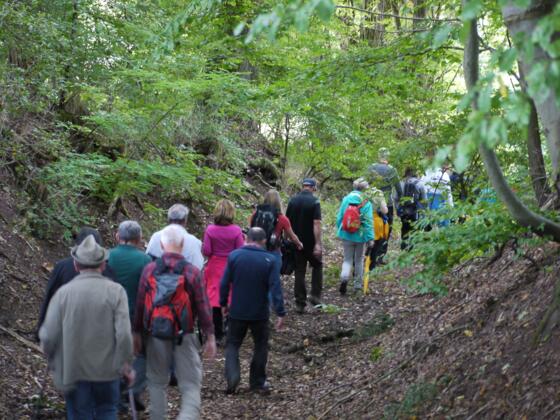Trimm-Dich-Pfad Gräfenneuses