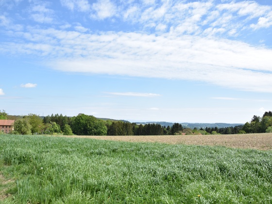 Ausblick Richtung Kirnbachtal und Bayericher Wald