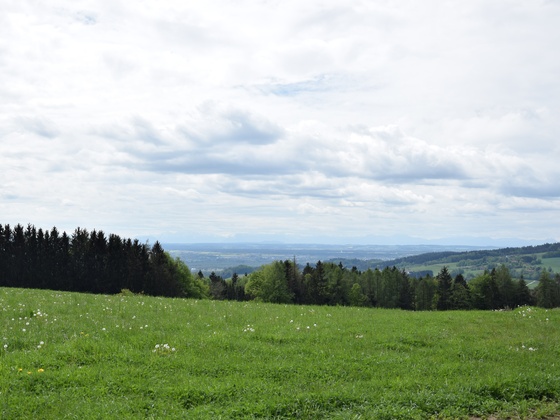 Aussicht in Richtung Inntal