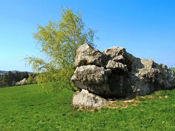 Krokodilfelsen (Bad Birnbach)