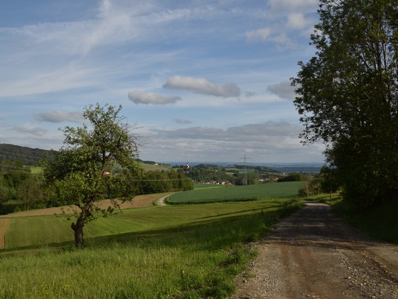 Aussichtspunkt bei Steinberg