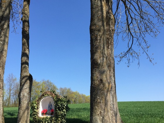 Mariengrotte Böhminger Weg