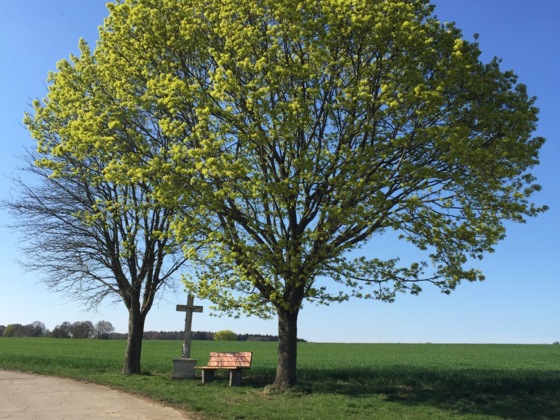 Feldkreuz am Schafhauser-Weg