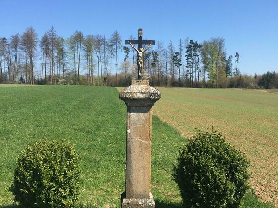 Feldkreuz Rohrfeld