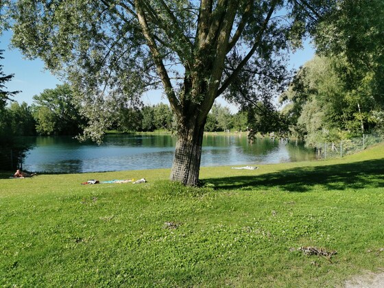 Birkensee