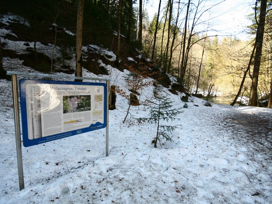 Infotafel zum Molasseprofil