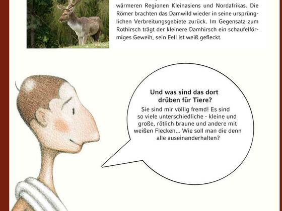 Cervus - Der Hirsch