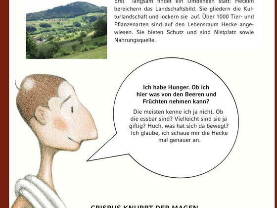 Saepis - Die Hecke
