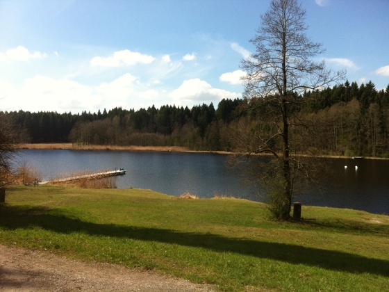 Badeufer des Alten Weihers