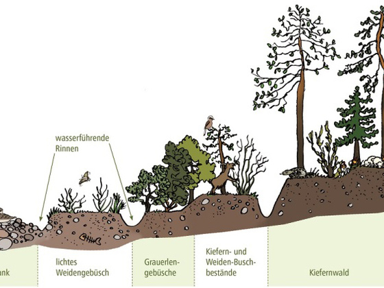 Verschiedener Lebensraumtypen (Biotope)