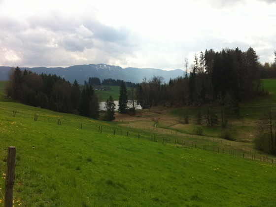 Der Biberschwöller See bei Steingaden
