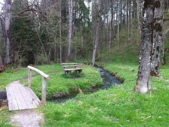 Über die Brücke kommen wir zu einem idyllischen Pfad am Neuhausbach