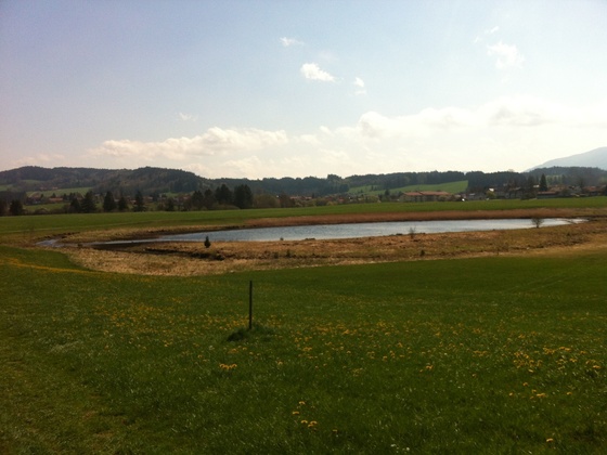 Der Storchenmoosweiher im malerischen Voralpenland.