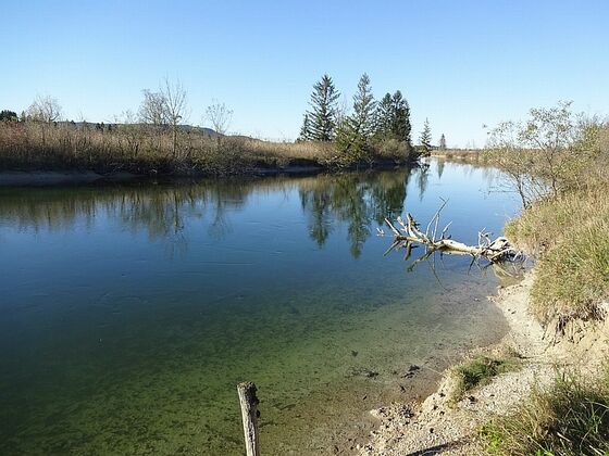 an der Loisach zwischen Benediktbeuern und Kochel