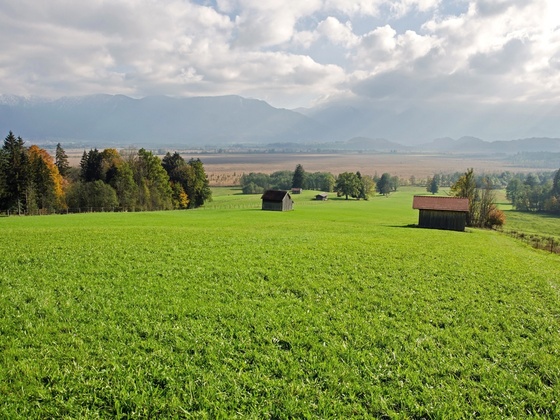 Radtour - Staffelsee-Murnauer Moos - Blick auf das Murnauer Moos