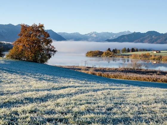 Wanderung - Höhlmühle-Rundweg - Blick auf den Riegsee