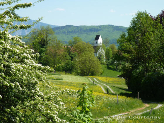 Fernwanderweg - Meditationsweg, 4. Etappe - Blick auf St. Blasius