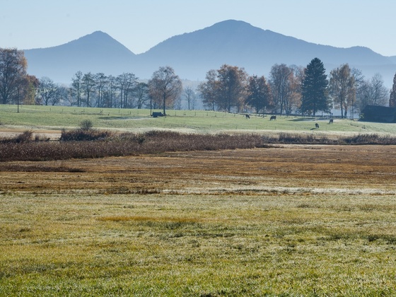 Wanderung - Kirnberg-Rundweg - Blick in die Alpen